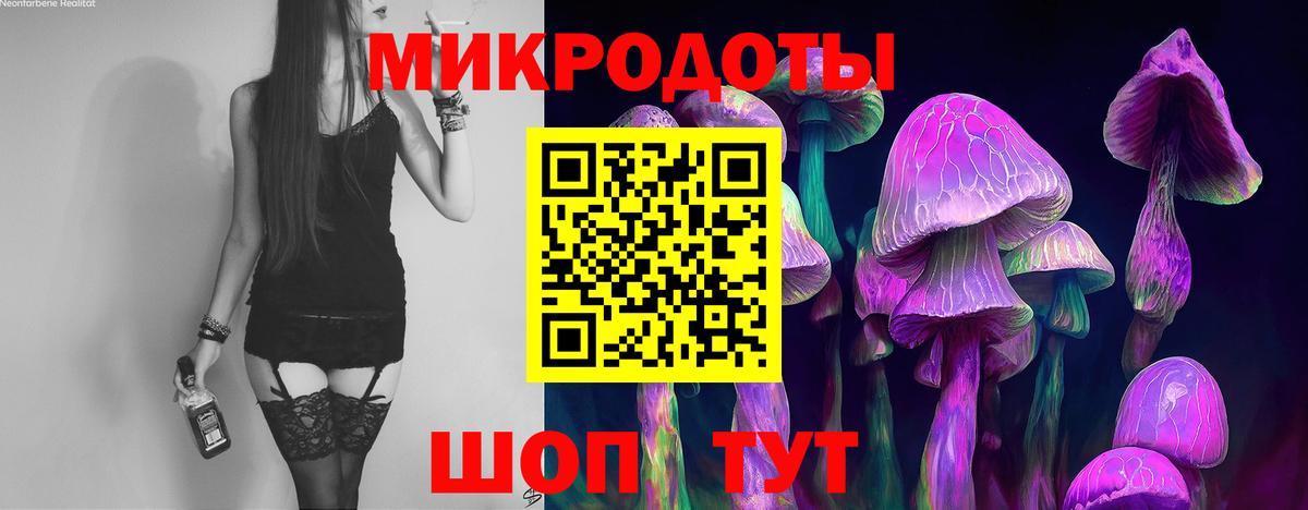 Галлюциногенные грибы Psilocybe  купить наркотики сайты  Псилоцибиновые грибы Psilocybe  Елец  Вход с VPN 